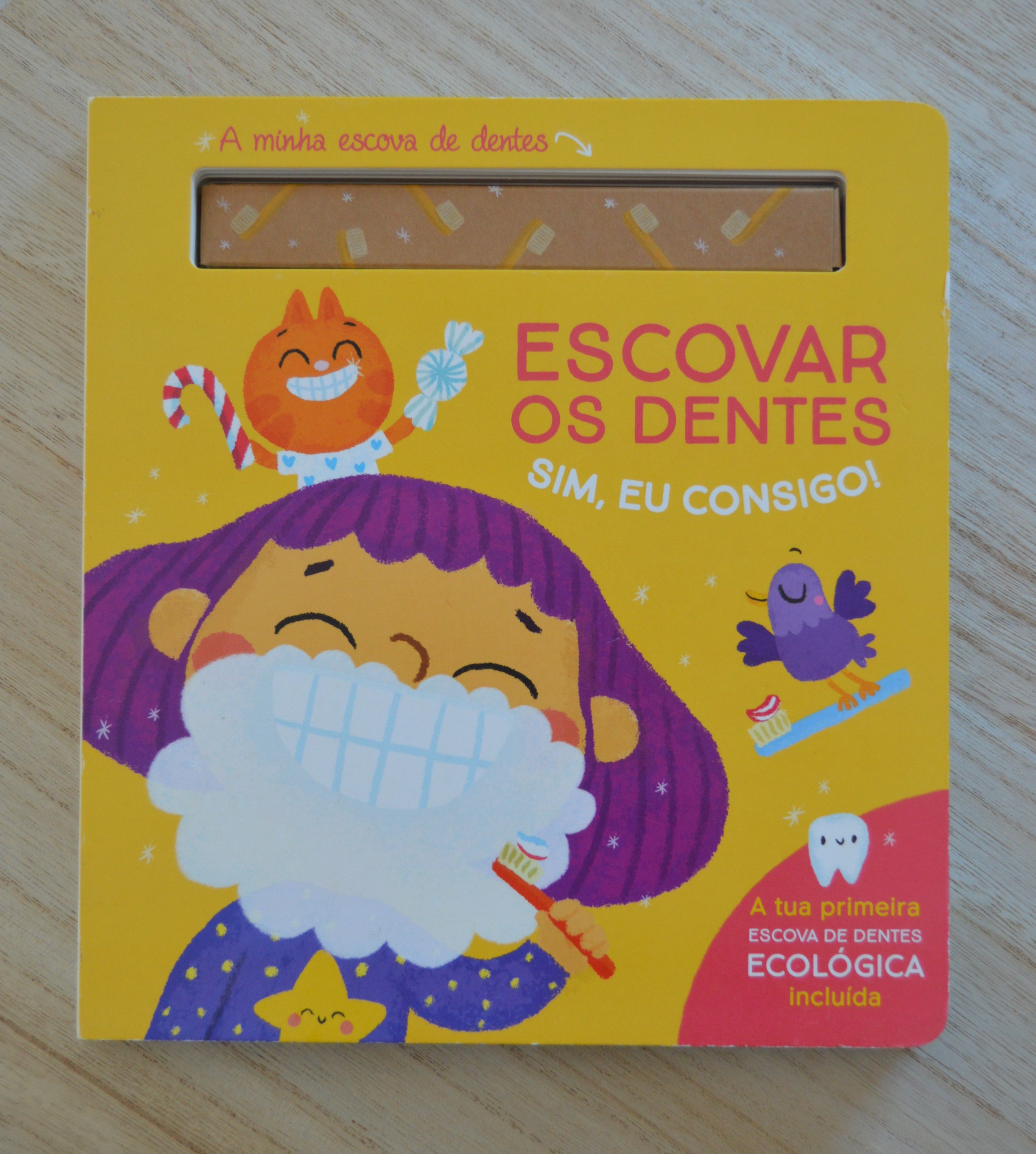 Livro Escovar os Dentes