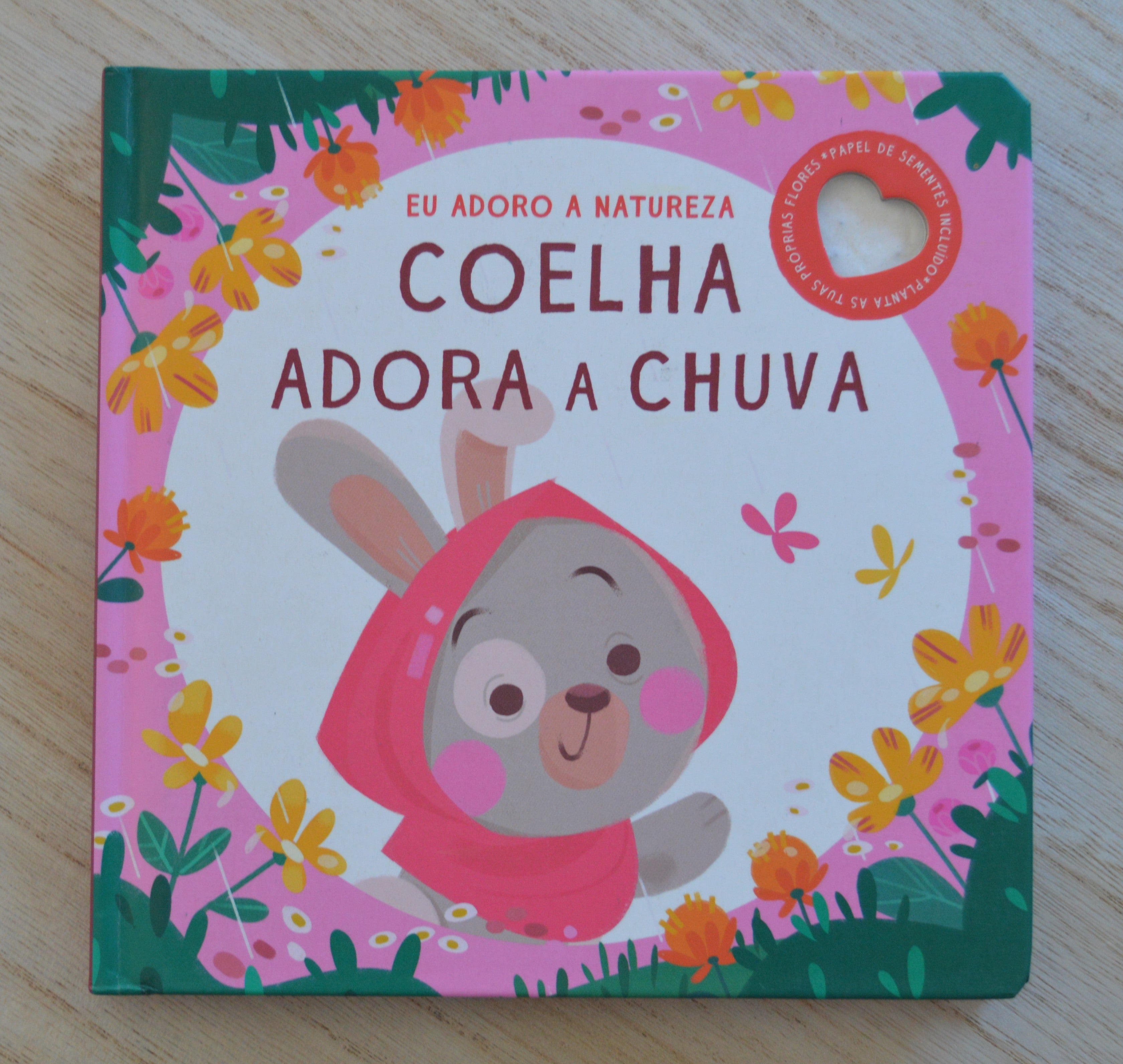 Livro Historia A Coelhinha Adora Chuva