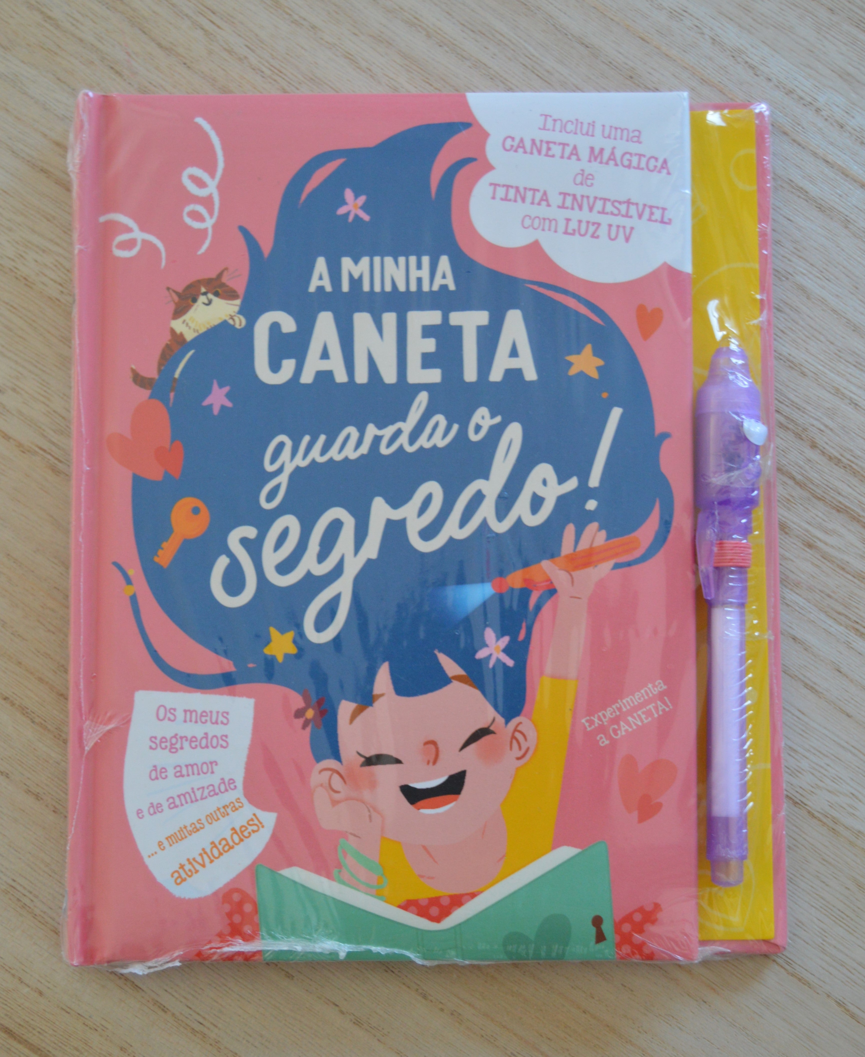 Livro A Minha Caneta Guarda Um Segredo