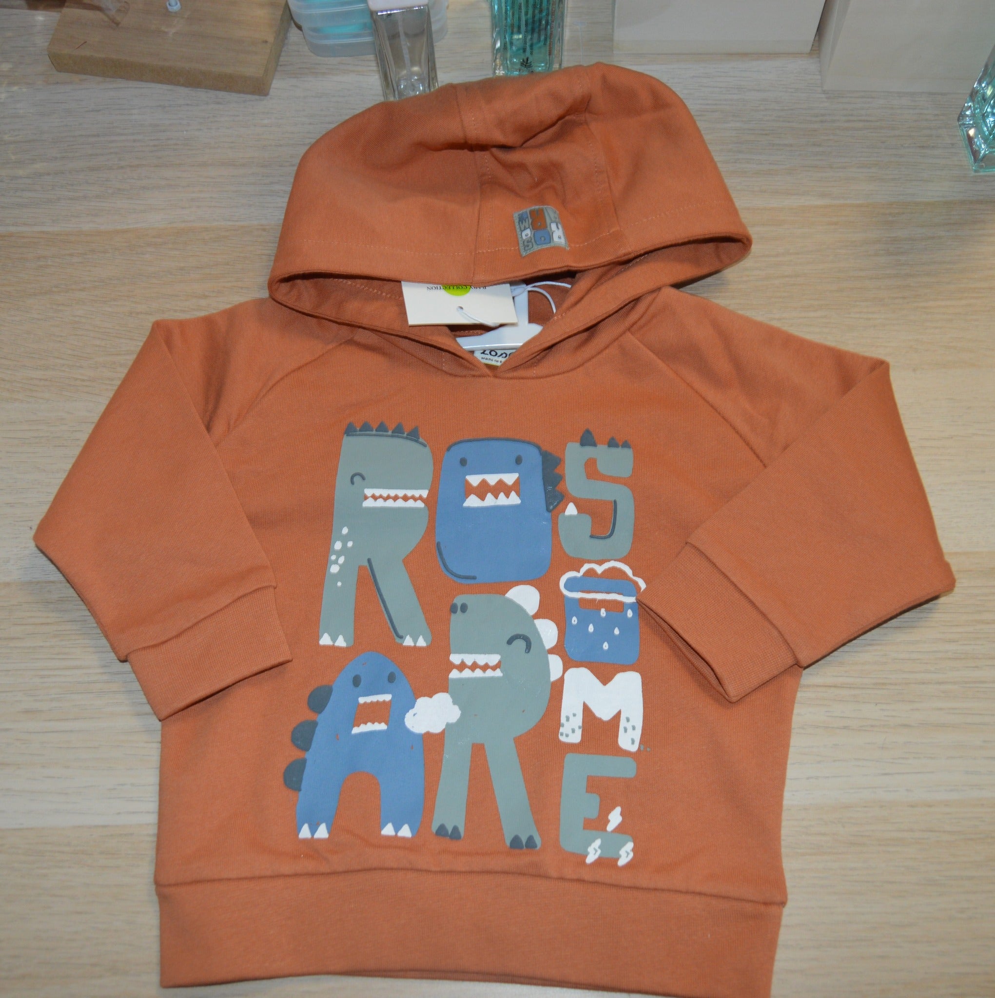 Sweat  com carapuço Dinossauros