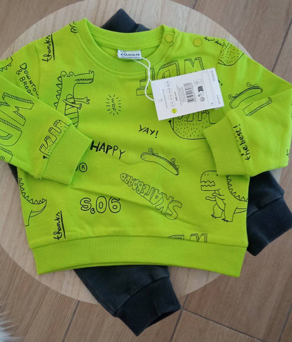 Sweatshirt  Dinossauros sem carda