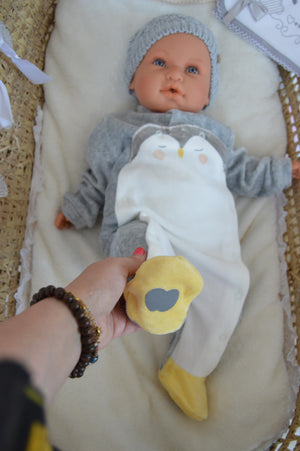 🐧 Babygrow Pinguim Aveludado – Dos 1 aos 12 Meses