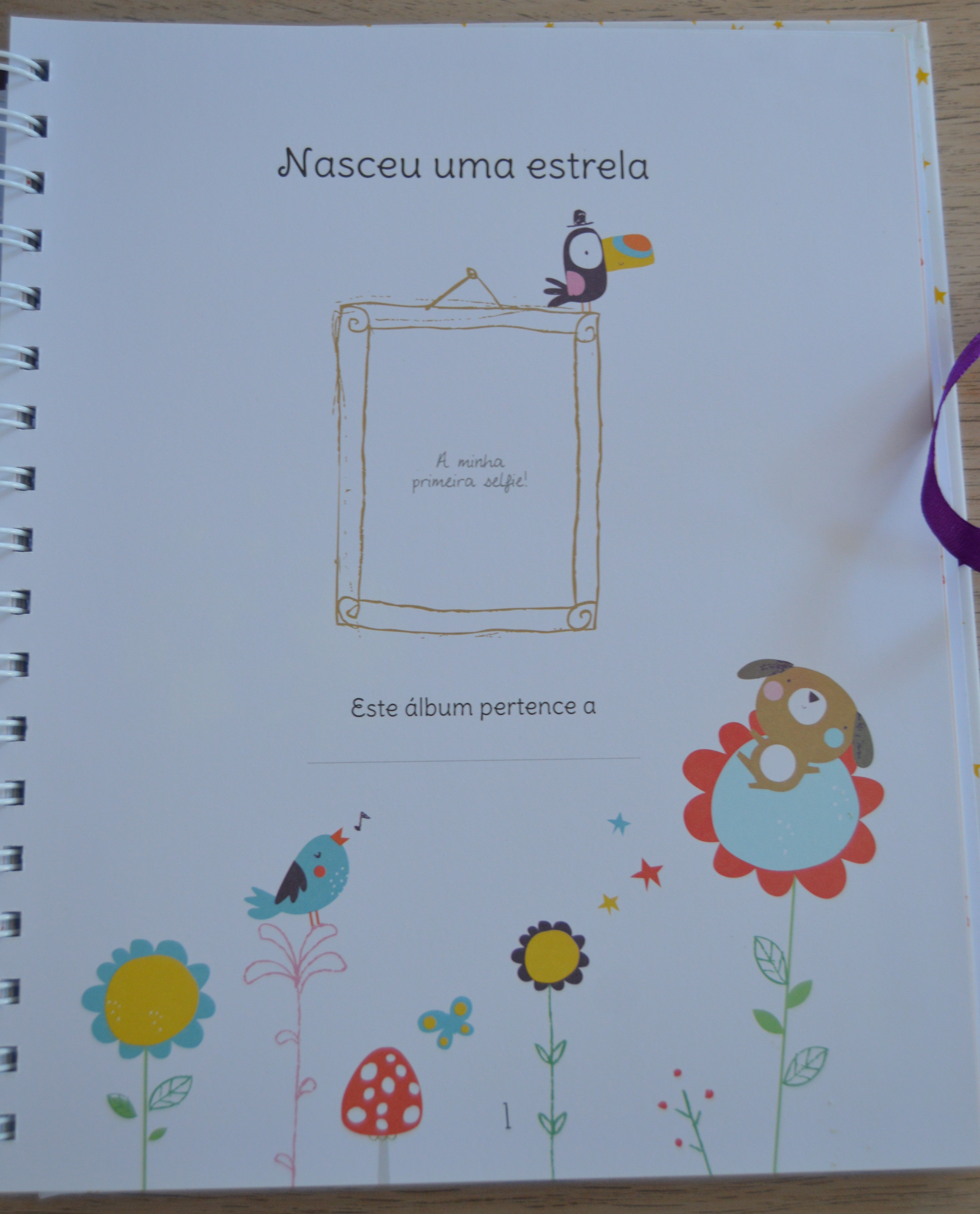Livro Album Nasceu uma Estrela