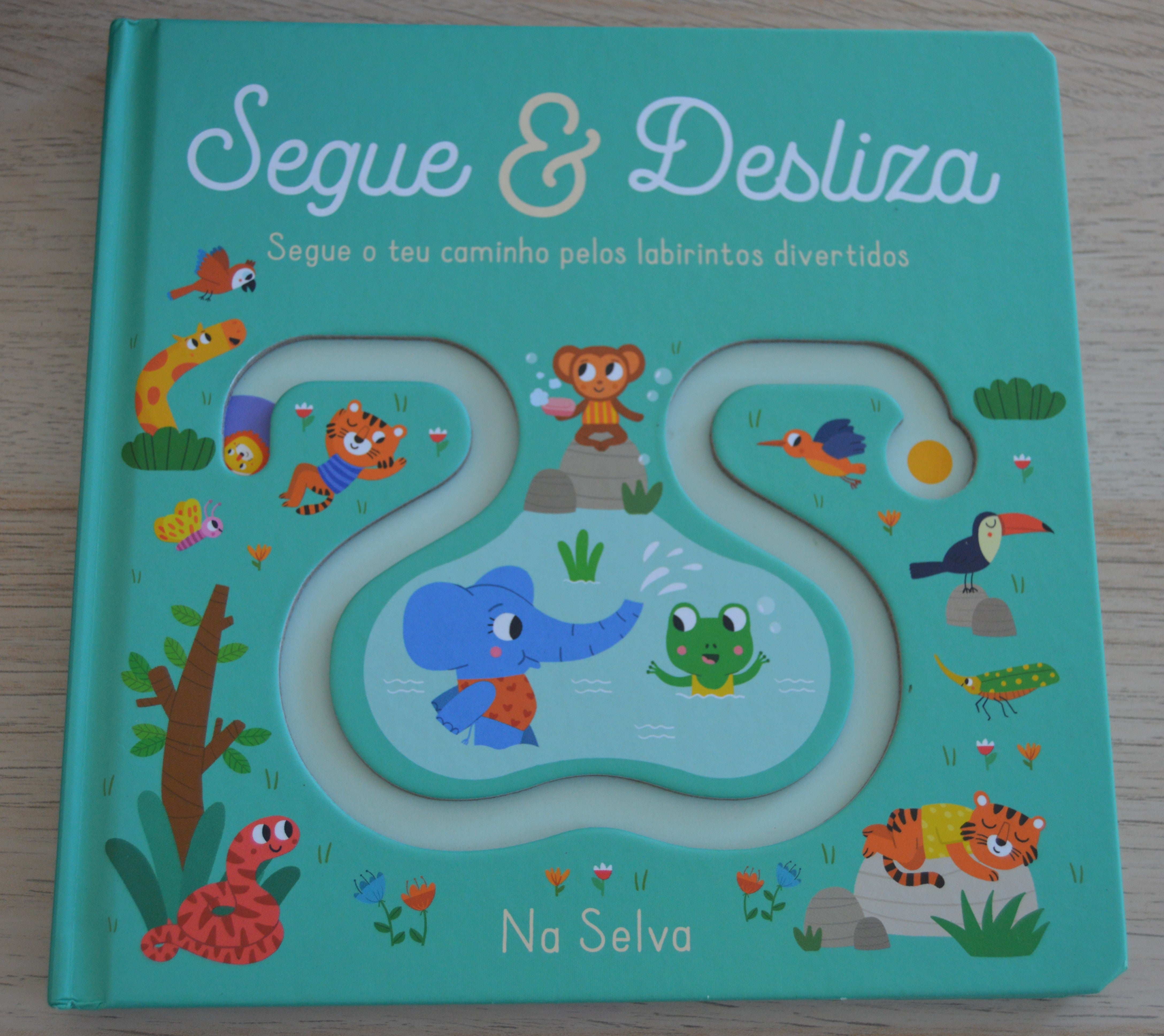 Livro Segue e desliza
