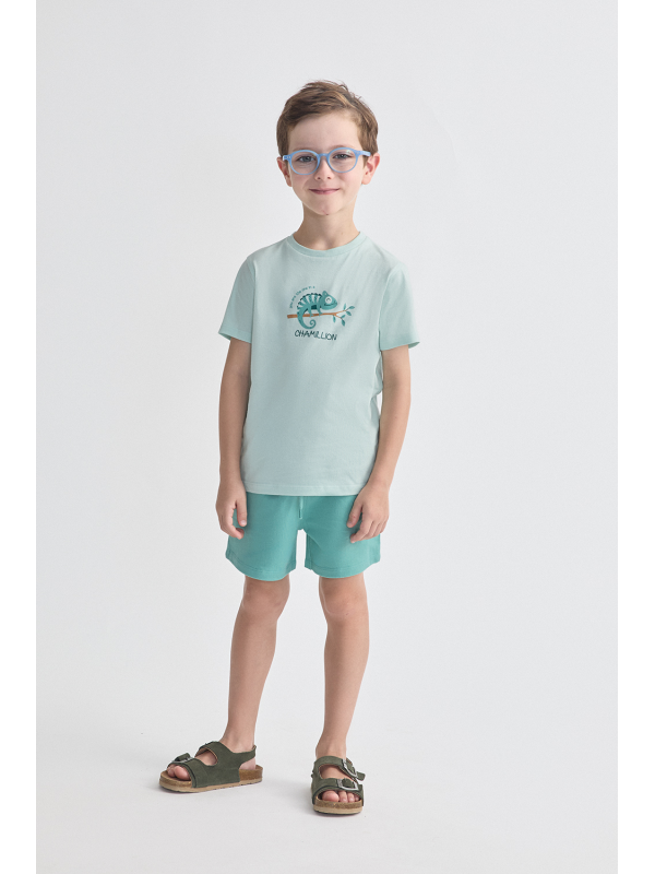 Conjunto Duas Peças Camaleão Verde Água Menino Algodão 3-7 Anos